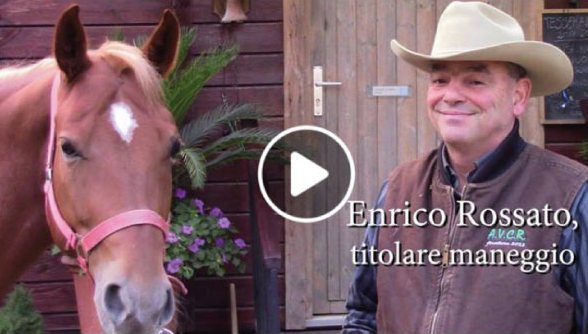 Rossato maneggio Esfor Sun
